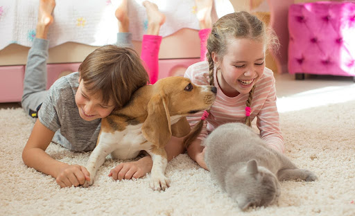 Children playing safely on a soft low-pile polyester rug in a modern family living room