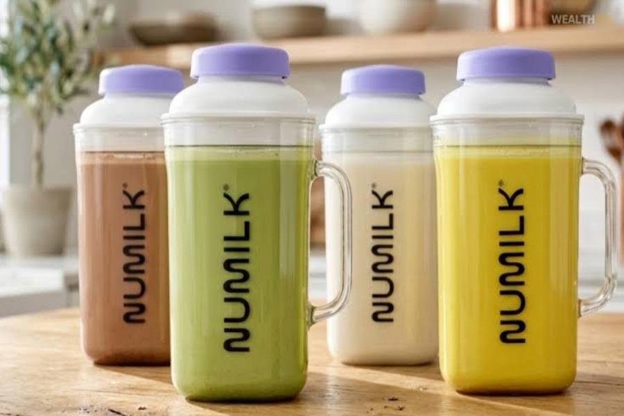 Numilk Net Worth